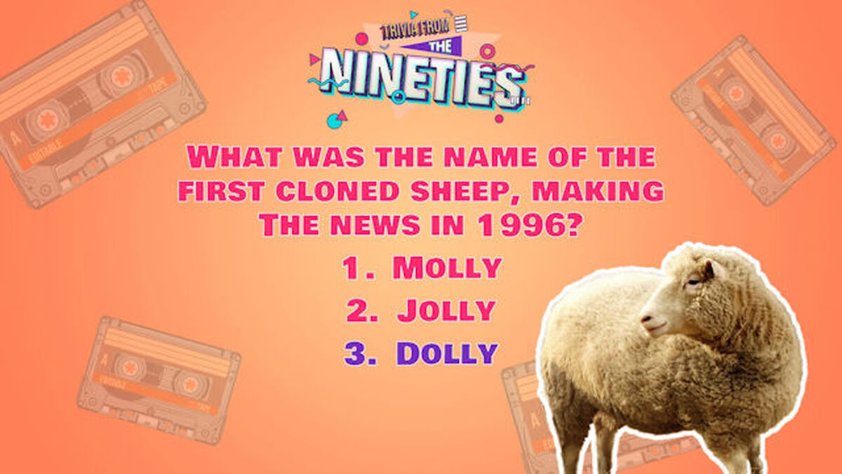 Trivia from the Nineties image number null